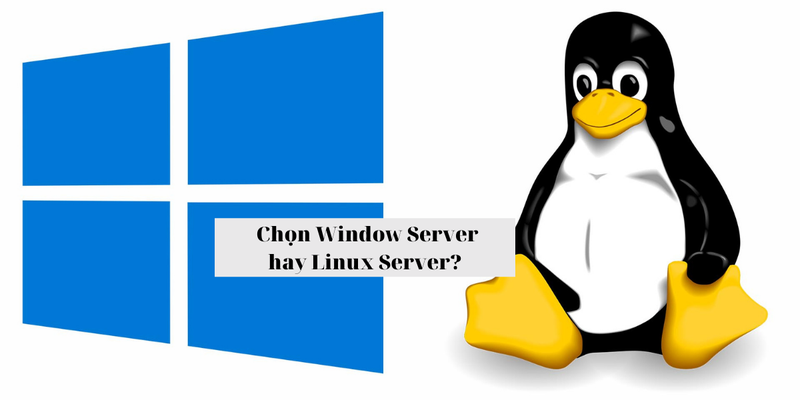 Bạn chọn Linux Server hay chọn Window Server?