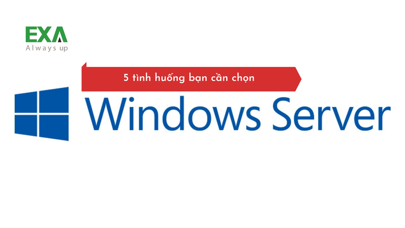 5 trường hợp tôi phải sử dụng Windows Server